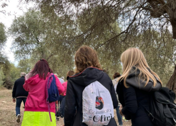 Sorso: il 30 ottobre la VI giornata nazionale della “Camminata tra gli Olivi” 