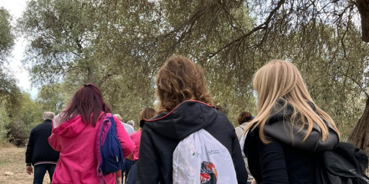 Sorso: il 30 ottobre la VI giornata nazionale della “Camminata tra gli Olivi” 