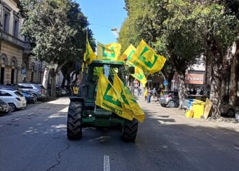 Coldiretti Cagliari: «Traditi dalla Stato e dalla burocrazia regionale, parte la class action per la siccità 2017»