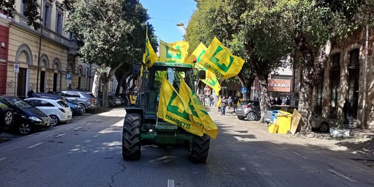 Coldiretti Cagliari: «Traditi dalla Stato e dalla burocrazia regionale, parte la class action per la siccità 2017»