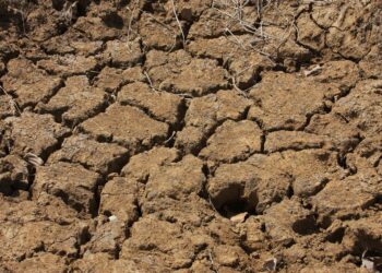 Siccità 2017. Coldiretti Sardegna: «Non c’è più tempo da perdere, serve subito un tavolo tecnico»