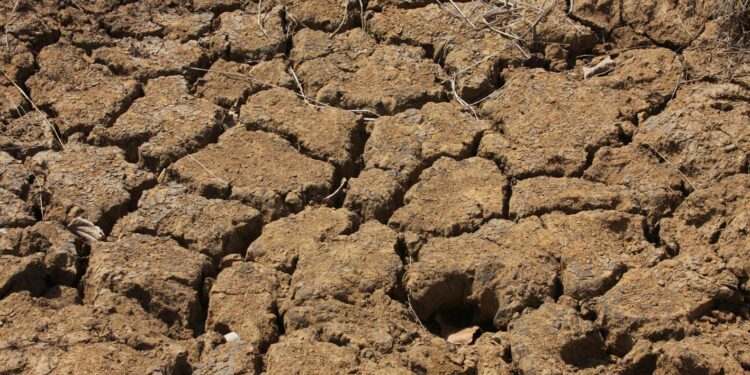 Siccità 2017. Coldiretti Sardegna: «Non c’è più tempo da perdere, serve subito un tavolo tecnico»