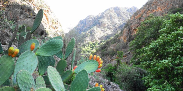 Flumendosa e l’ipotesi di area protetta, se n’è parlato ad Escalaplano