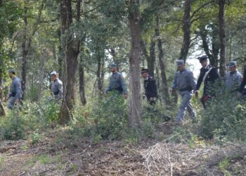 Dispersa sui monti di Domus De Maria, una 55enne turista francese è stata rintracciata grazie a Whatsapp e salvata dai carabinieri e dagli agenti del Corpo forestale