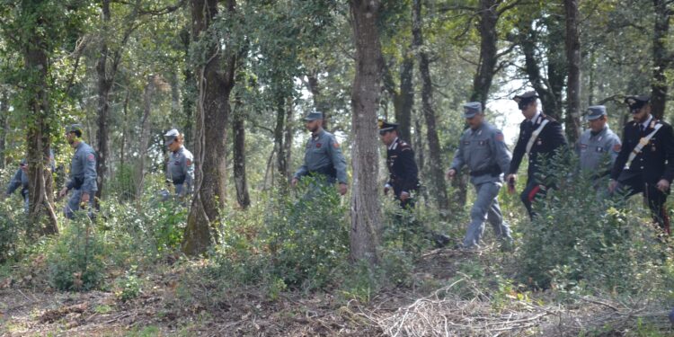 Dispersa sui monti di Domus De Maria, una 55enne turista francese è stata rintracciata grazie a Whatsapp e salvata dai carabinieri e dagli agenti del Corpo forestale