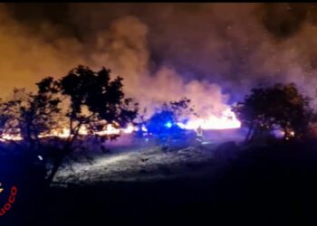 Ploaghe: incendio di macchia mediterranea a Monte Ledda, sul posto i vigili del fuoco