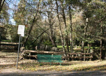 Si perde cercando funghi a San Leonardo, la ritrovano sana e salva gli uomini del Corpo forestale di Macomer e Seneghe