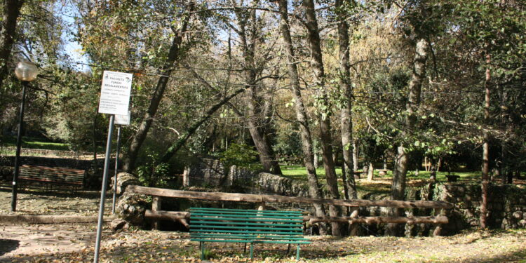 Si perde cercando funghi a San Leonardo, la ritrovano sana e salva gli uomini del Corpo forestale di Macomer e Seneghe