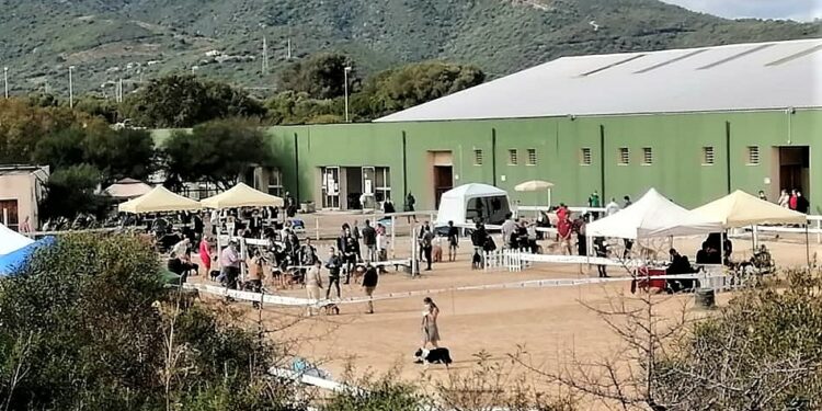 L’Aou di Sassari ha organizza un congresso per il 19 ed il 20 ottobre all’Hotel Grazia Deledda su “Il trauma ed il paziente oncologico in emergenza”