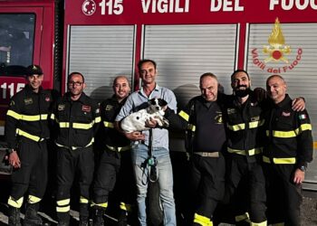 I vigili del fuoco di Cagliari hanno soccorso e recuperato un cane finito all’interno di una tubatura di scolo lunga circa 100 metri