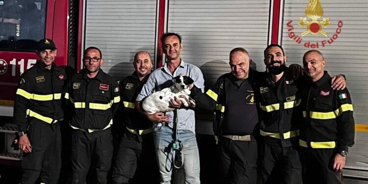 I vigili del fuoco di Cagliari hanno soccorso e recuperato un cane finito all’interno di una tubatura di scolo lunga circa 100 metri