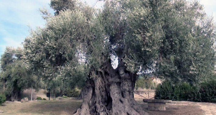Fine settimana di appuntamenti ad Usellus, Villa Verde e Sini