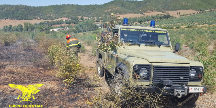 3 dei 13 incendi sviluppatisi oggi in Sardegna, hanno richiesto l’intervento dei mezzi aerei del Corpo forestale