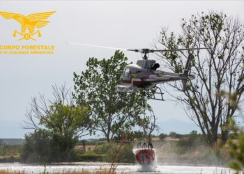 Tre dei tredici incendi sviluppatisi oggi in Sardegna, hanno richiesto l’intervento dei mezzi aerei del Corpo forestale
