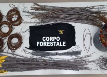 Capoterra: operazione antibracconaggio, una denuncia e materiale sequestrato