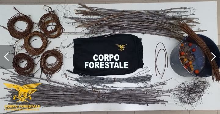 Capoterra: operazione antibracconaggio, una denuncia e materiale sequestrato