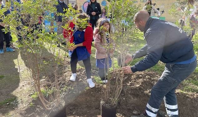 Quartu Sant’Elena: al via un piano pluriennale di riforestazione urbana