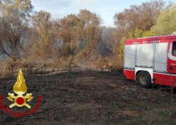 Arzachena: incendio di macchia mediterranea nella circonvallazione, intervengono i vigili del fuoco