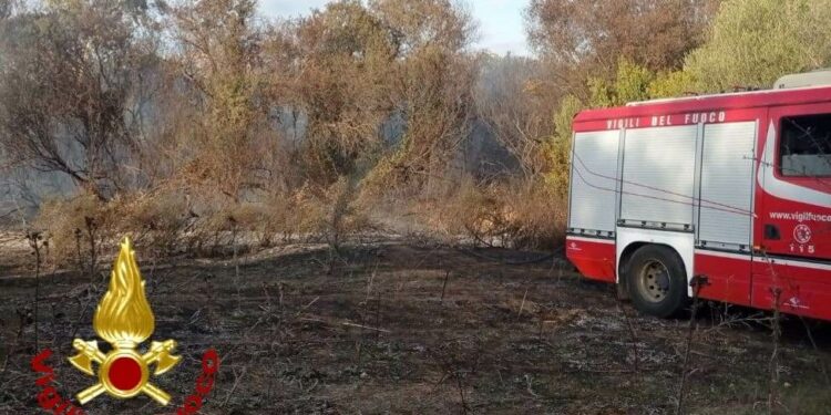 Arzachena: incendio di macchia mediterranea nella circonvallazione, intervengono i vigili del fuoco