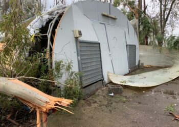 Oristanese ed Alto Medio Campidano fanno la conta dei danni per il maltempo che ha colpito i territori e le aziende agricole