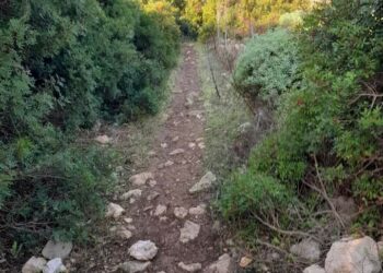 Galtellì, ecco il nuovo percorso di tredici chilometri di Forestas