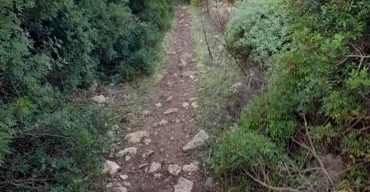 Galtellì, ecco il nuovo percorso di tredici chilometri di Forestas