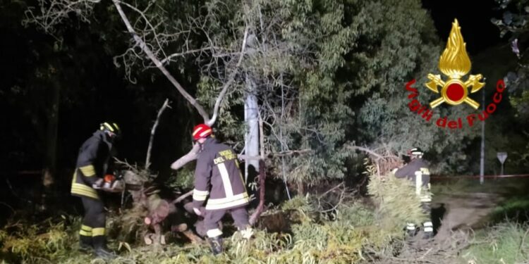 Aidomaggiore: un pino cade sui fili della linea elettrica, intervengono i vigili del fuoco