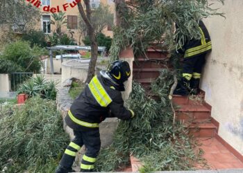 Maltempo nel Sassarese e in Gallura, in azione i vigili del fuoco
