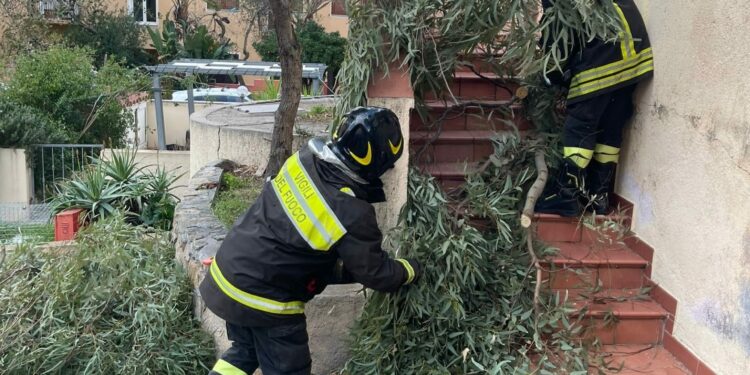 Maltempo nel Sassarese e in Gallura, in azione i vigili del fuoco