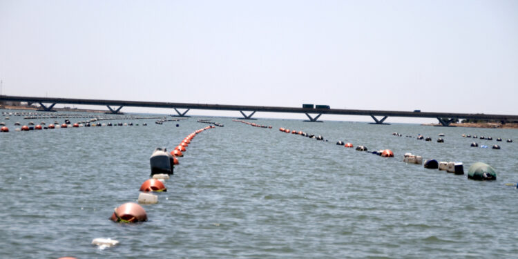 Cagliari: limitazioni temporanee al traffico​ sul​ ponte de ‘La Scafa’
