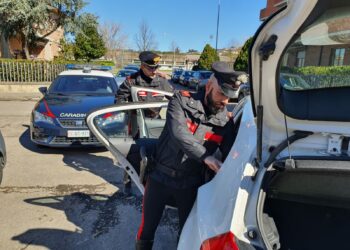 I carabinieri di Samassi hanno denunciato a piede libero un trentenne di Zeddiani per detenzione finalizzata allo spaccio di sostanze stupefacenti
