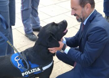 4 novembre: il presidente Michele Pais a Sassari per le celebrazioni della giornata dell’Unità nazionale e delle Forze Armate