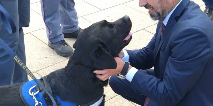 4 novembre: il presidente Michele Pais a Sassari per le celebrazioni della giornata dell’Unità nazionale e delle Forze Armate