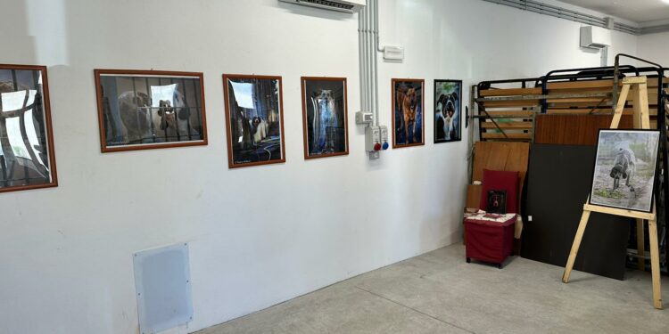 Sassari: dal 27 al 29 dicembre la mostra “Angeli a quattro zampe”