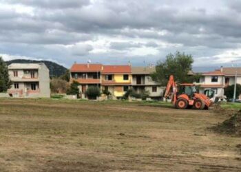 Silanus: l’11 dicembre il primo contest regionale “Il panettone secondo la Sardegna”