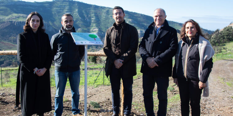 Cuglieri: rigenerati 12.000 metri quadri di area bruciata dall’incendio del 2021