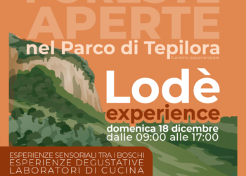 “Foreste aperte”: dal 18 al 29 dicembre, visite guidate e laboratori nel Parco di Tepilora