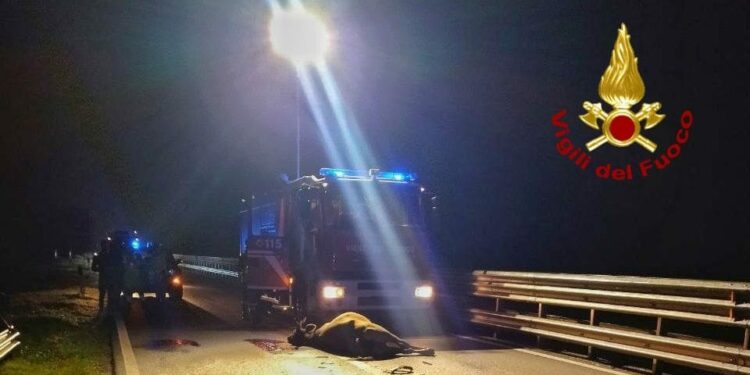 Ghilarza: incidente stradale sulla 131 Dcn, intervengono i vigili del fuoco