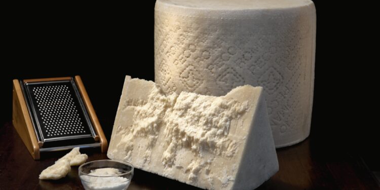 Consorzio di tutela del pecorino romano: otto milioni di euro per due progetti internazionali