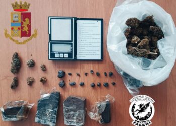 Gli operatori del Gruppo Falchi della Squadra Mobile hanno arrestato in flagranza un operaio 51enne, per detenzione ai fini di spaccio di sostanze stupefacenti