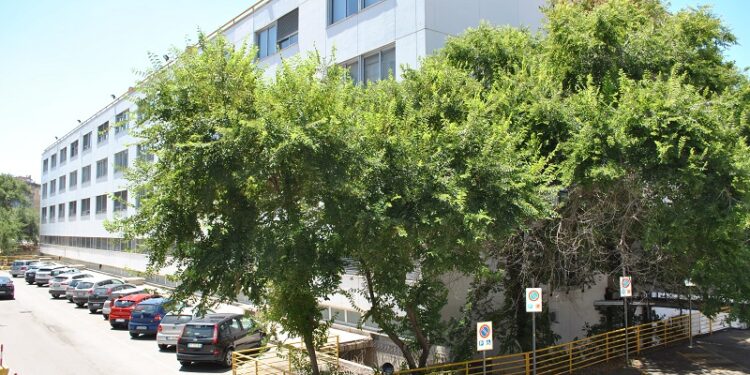 Il 13 dicembre “Concerti in Clinica”, un concerto itinerante di tre giovani musicisti all’Aou di Sassari