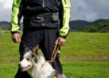 Nella giornata di ieri si è spento il cane “Artù”, unità cinofila dei vigili del fuoco