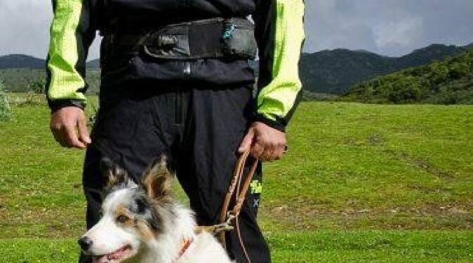 Nella giornata di ieri si è spento il cane “Artù”, unità cinofila dei vigili del fuoco