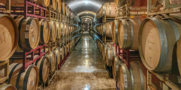 Sabato 7 gennaio, a Serdiana, la grande festa dei suoni e del vino