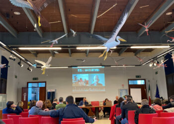 Coop Sociali: stop agli appalti al massimo ribasso. L’offerta vantaggiosa deve diventare criterio per gli affidamenti