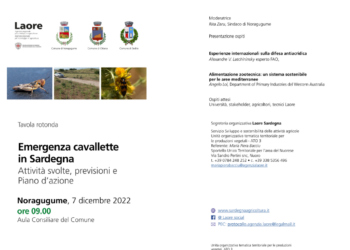 Mercoledì 7 dicembre, a Noragugume, si terrà una tavola rotonda sul problema dell’invasione delle cavallette in Sardegna