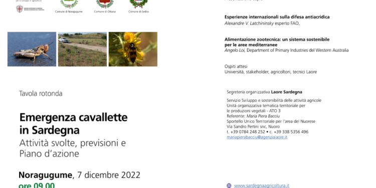 Mercoledì 7 dicembre, a Noragugume, si terrà una tavola rotonda sul problema dell’invasione delle cavallette in Sardegna
