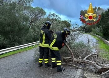 Da ieri mattina sono circa 150 gli interventi effettuati dai vigili del fuoco, in Sardegna, per i problemi provocati dal maltempo