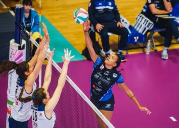 Hermaea sconfitta a Trento