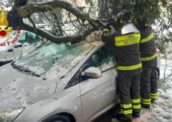 Maltempo nella zona di Tempio Pausania: diversi gli interventi dei vigili del fuoco